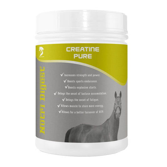 CREATINE PURE