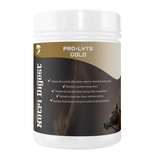 PRO LYTE GOLD